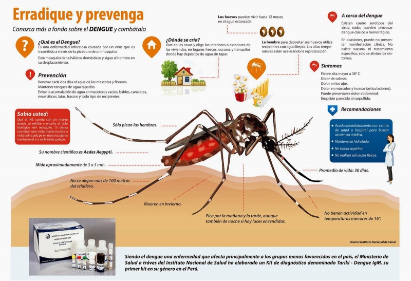 dengueINS