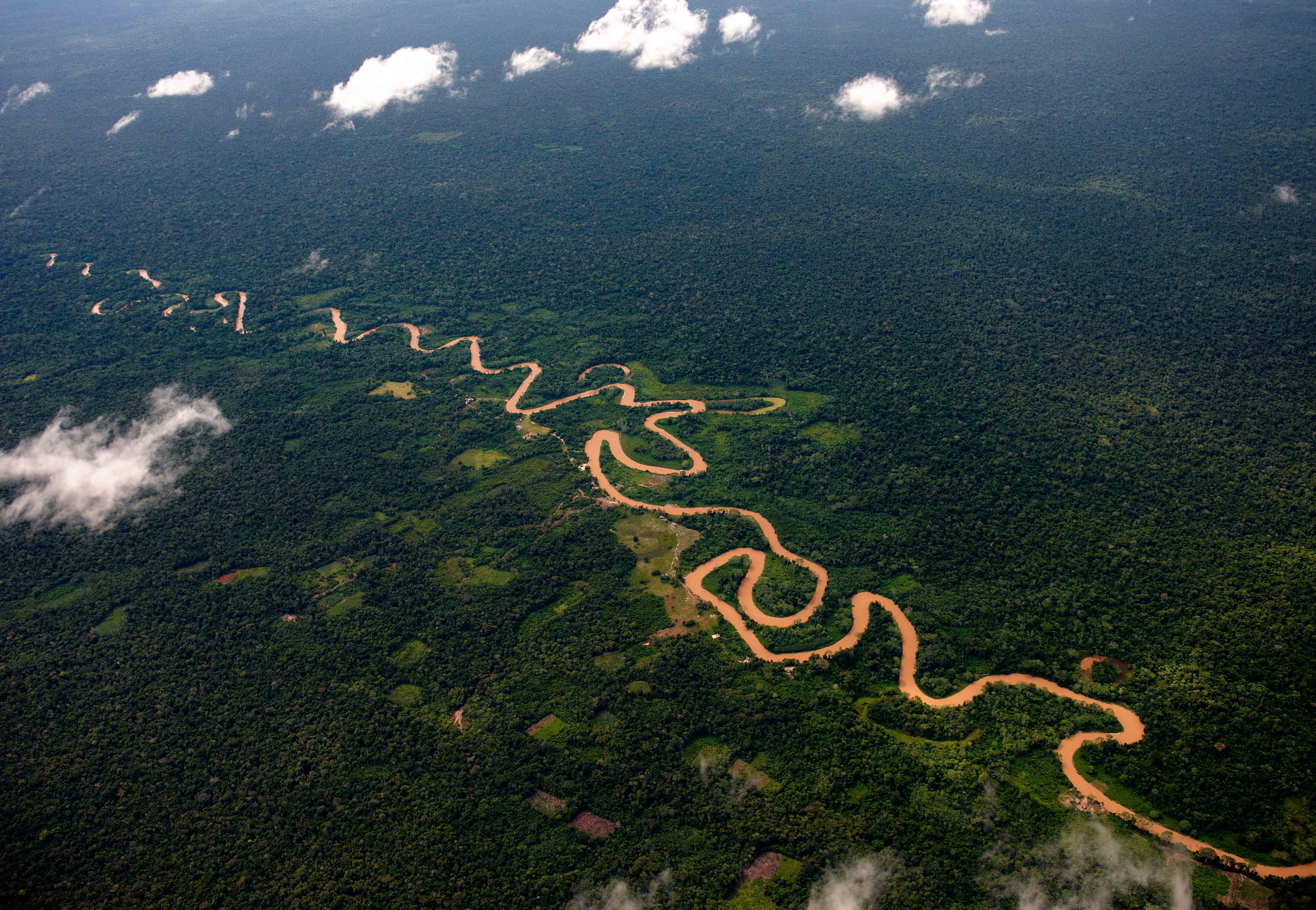 Foto: Amazonía Andina.