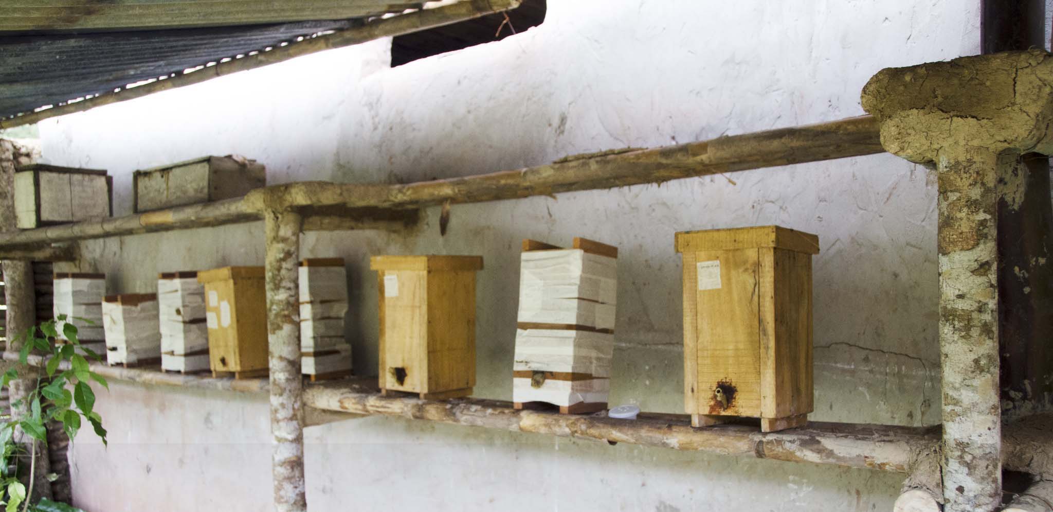 Cajas extractoras en el alero de una casa en Moyobamba 