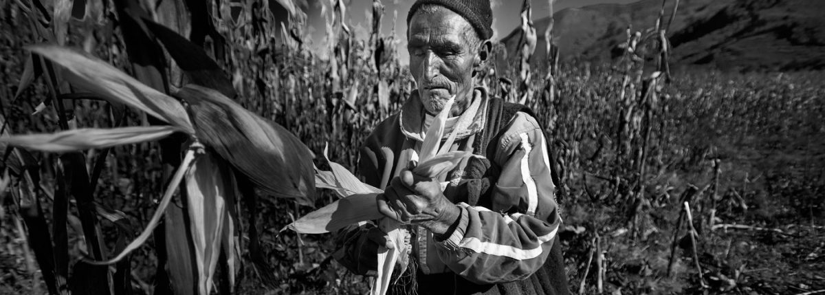 "Imananqachá": ¿Cómo Se Adaptan Los Agricultores De Nuestras Zonas ...